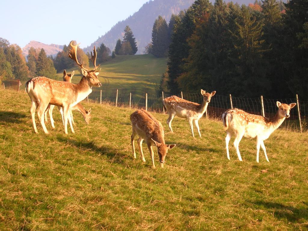 Bauernhof Ferienbauernhof Liebschick *