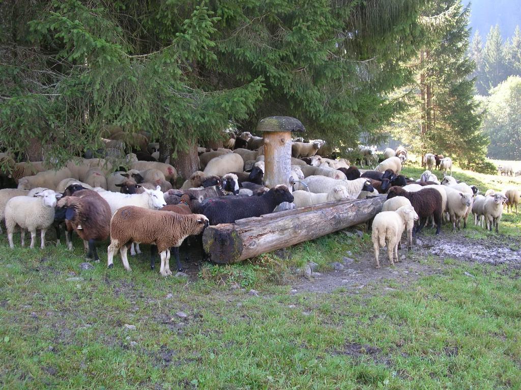 Ferienbauernhof Liebschick